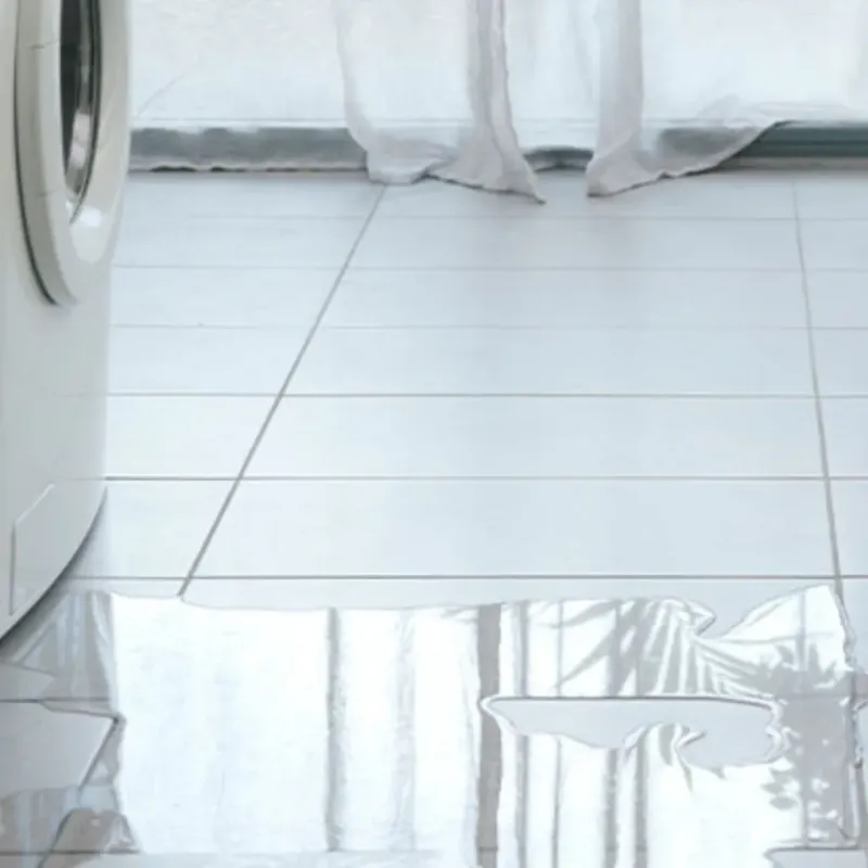 Appliance Leak Cleanup in Osprey, FL