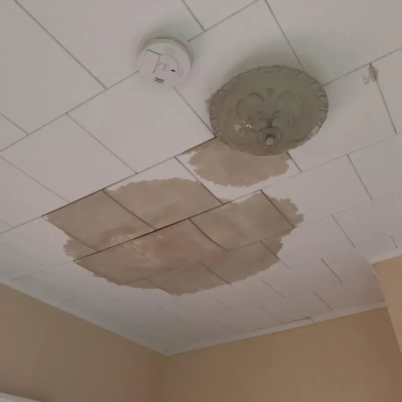 Ceiling Water Damage Repair in Osprey, FL